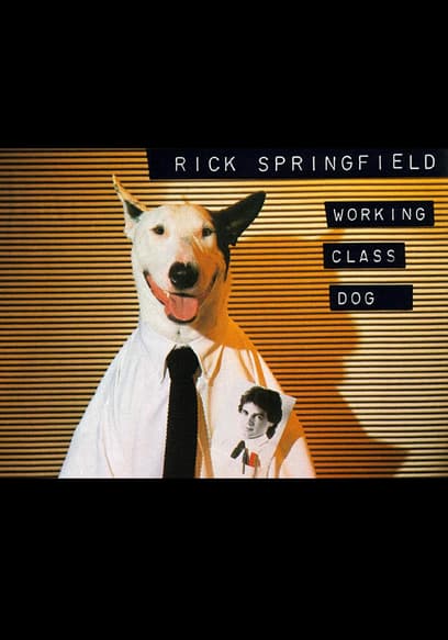 Working Class Dog: 40th Anniversary Special Live Edition