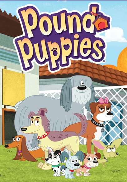 Watch Pound Puppies Season 2 - Free TV Shows | Tubi