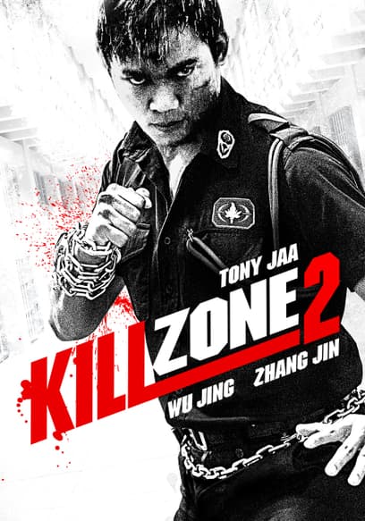 Kill Zone 2 (English Dub)