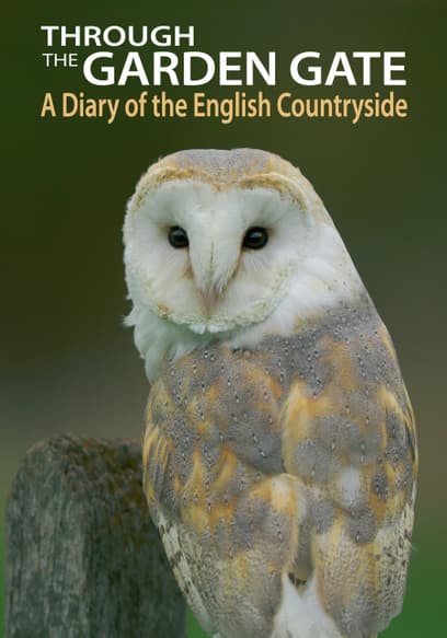 Through the Garden Gate - a Diary of the English Countryside