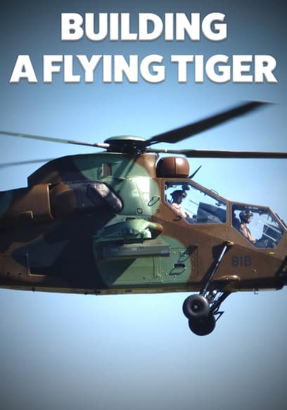 Building a Flying Tiger