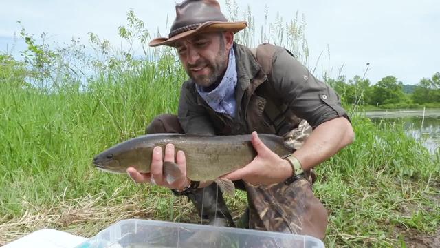 S06:E14 - Giant Catfish Bite!