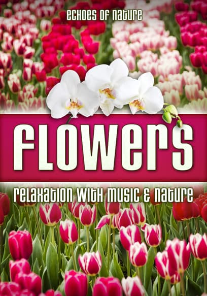 Flowers: Relaxation with Music & Nature