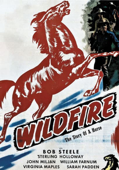 Wildfire: Story of a Horse
