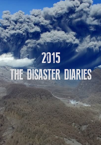 2015: The Disaster Diaries