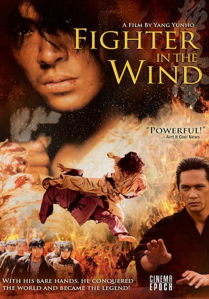 Fighter In The Wind