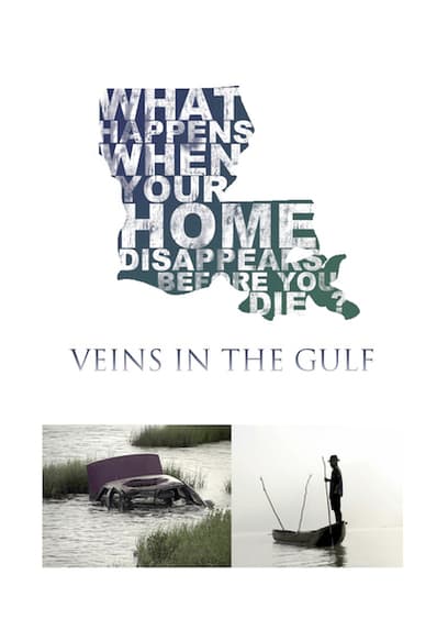 Veins in the Gulf