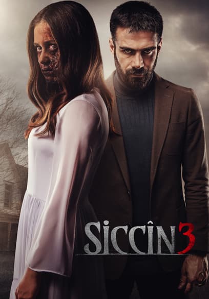 Siccin 3