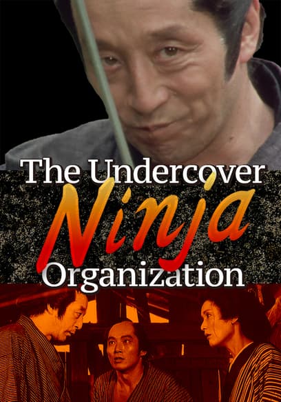 The Undercover Ninja Organization