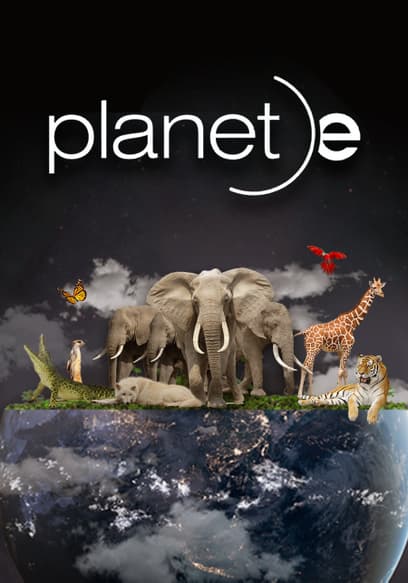 Planet E: Fixing Earth From Your Backyard