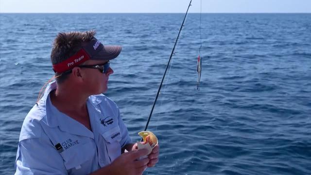 S08:E04 - Giant Black Marlin Quest (Pt. 1)