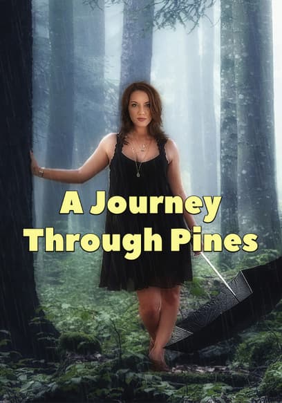 A Journey Through Pines