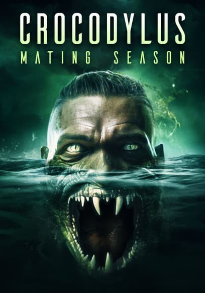 Crocodylus: Mating Season