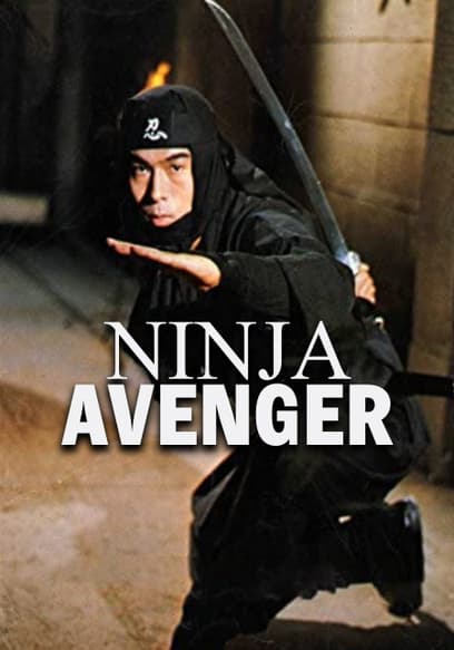 Ninja Avenger