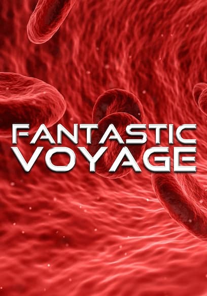 Fantastic Voyage