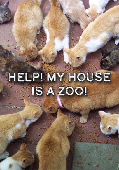 Help! My House Is a Zoo!