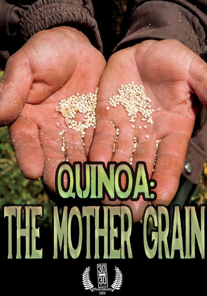 Quinoa: The Mother Grain