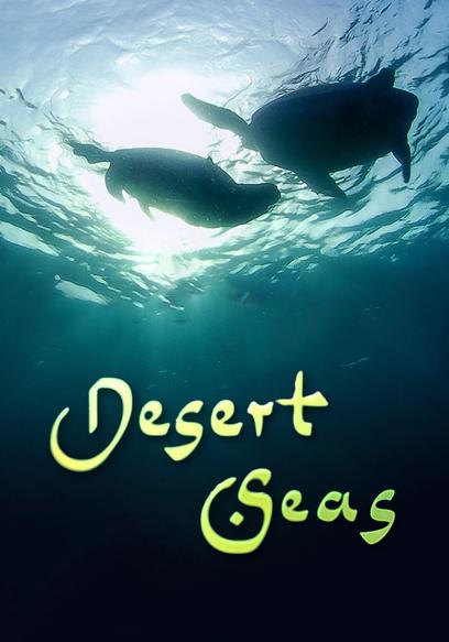 Desert Seas