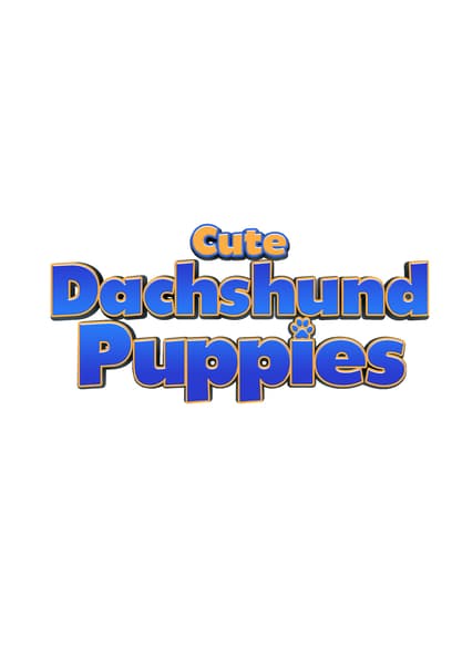 Puppy Time: Cute Dachshund Puppies
