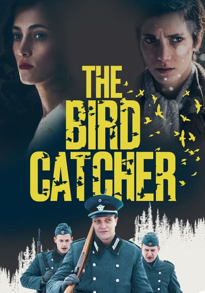 The Birdcatcher