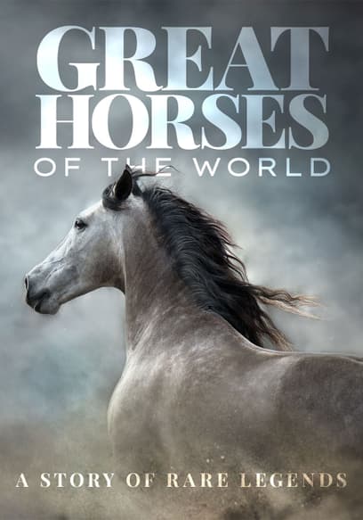 Great Horses of the World