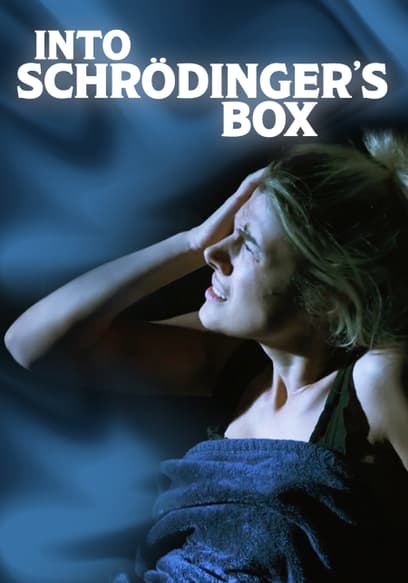 Into Schrödinger's Box