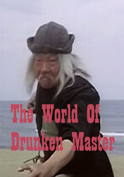 World of Drunken Master