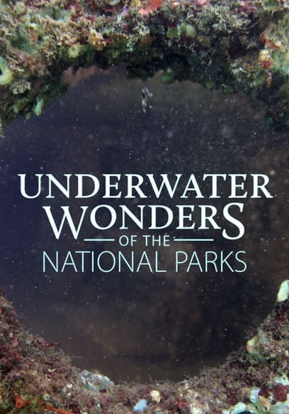 Underwater Wonders of the National Parks