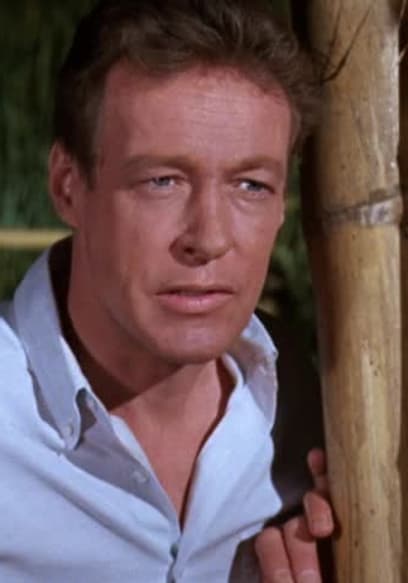 Watch Gilligan's Island S02:E28 - Allergy Time - Free TV Shows | Tubi