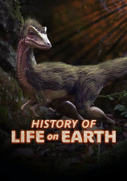 History of Life on Earth