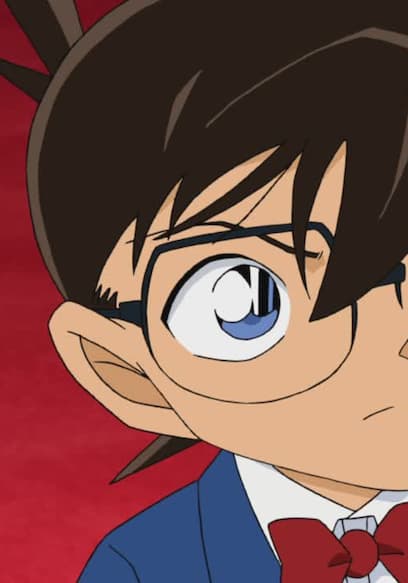 Watch Case Closed - Detective Conan (Dubbed) S01:E1006 - Who Poisoned ...