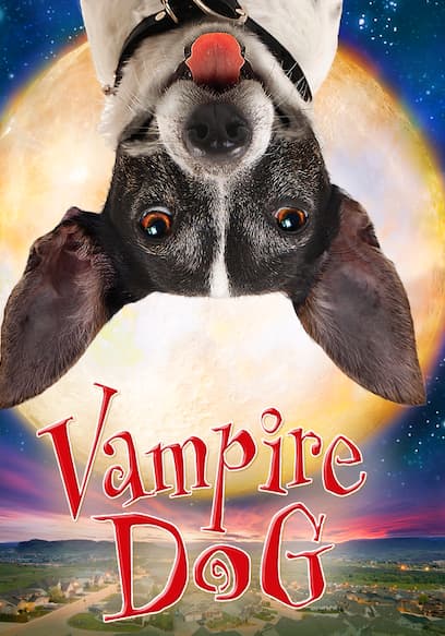 Vampire Dog