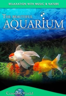 Fish Tank DVD - Relax With A  Aquarium With Relaxing Music 