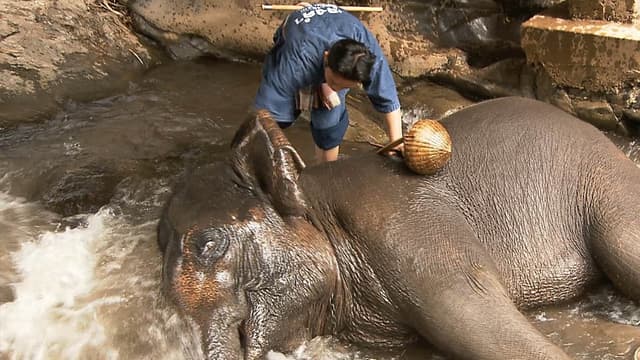 S01:E14 - Songkran Festival - Thailand