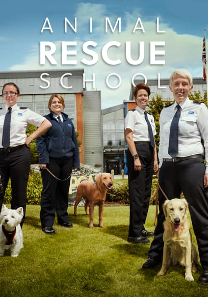 Watch Animal Rescue School - Free TV Shows | Tubi