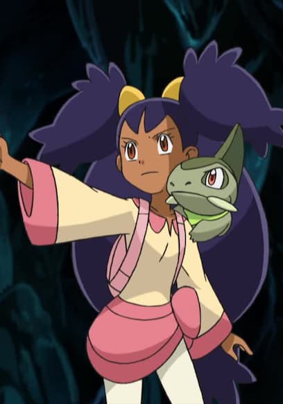 Watch Pokémon the Series: Black & White S15:E16 - Explorers of the Hero ...