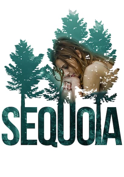 Sequoia