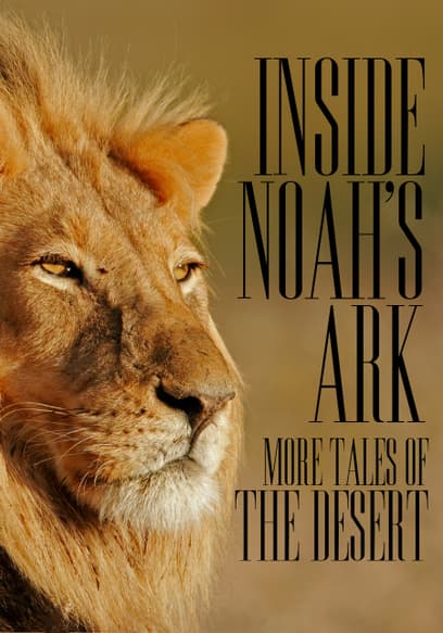 Inside Noah's Ark: More Tales of the Desert