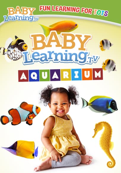Baby Learning: Aquarium