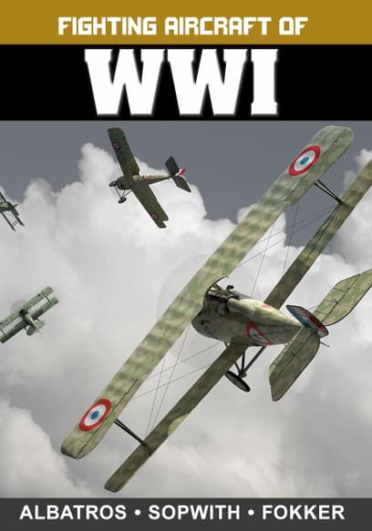 Fighting Aircraft of WWI: Albatros, Sopwith and Fokker