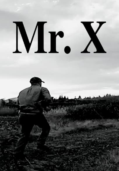 Mr. X