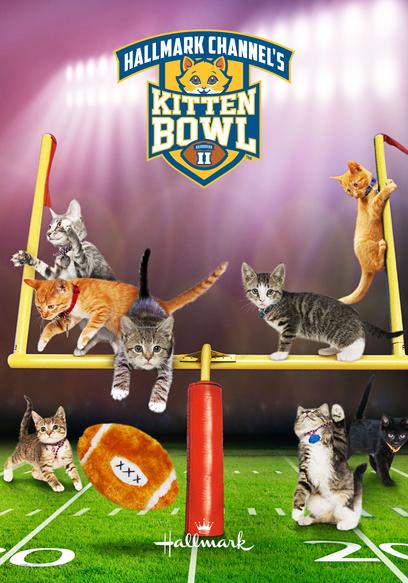 Kitten Bowl II