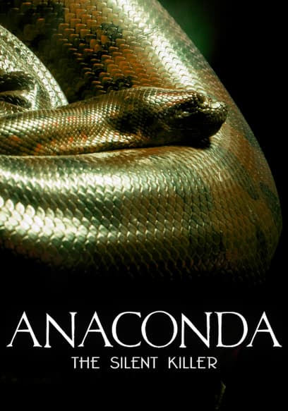 Anaconda: The Silent Killer