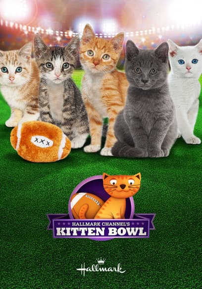 Kitten Bowl I