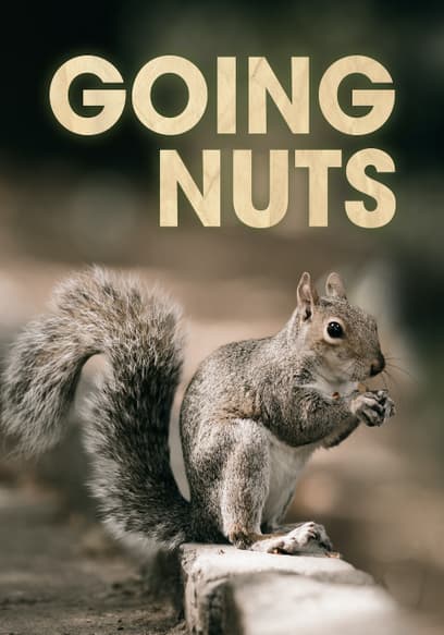 Going Nuts
