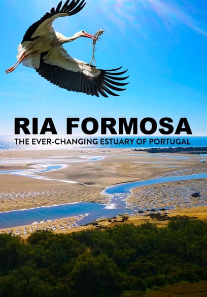 Ria Formosa: The Ever-Changing Estuary of Portugal
