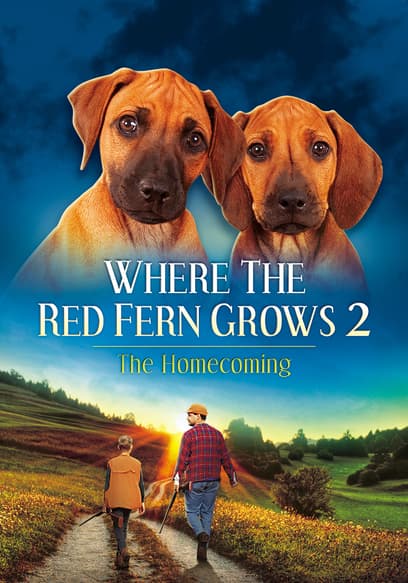 Where the Red Fern Grows 2