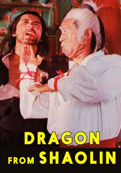 Dragon From Shaolin (Español)