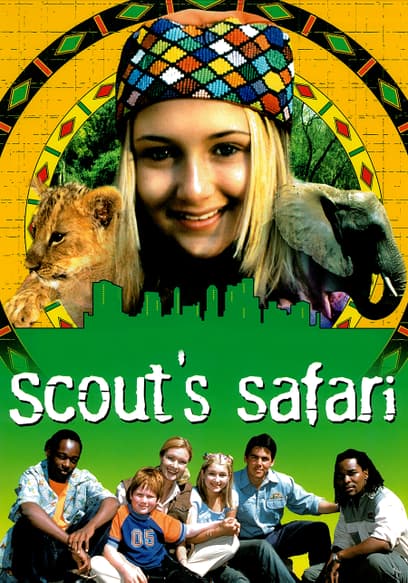 Scout's Safari