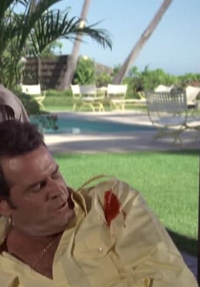 Watch The Rockford Files S06:E08 - The Hawaiian Headache - Free TV ...